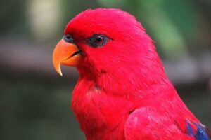 Leia mais sobre o artigo My Experience with Anxiety and Depression