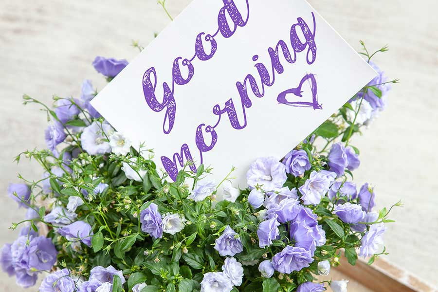 Leia mais sobre o artigo Perspective: Seeing Life Through New Eyes