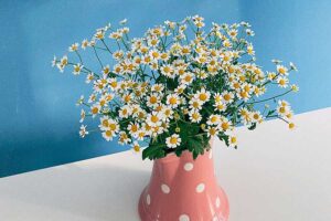 Leia mais sobre o artigo Living: Lessons Learned Along the Way