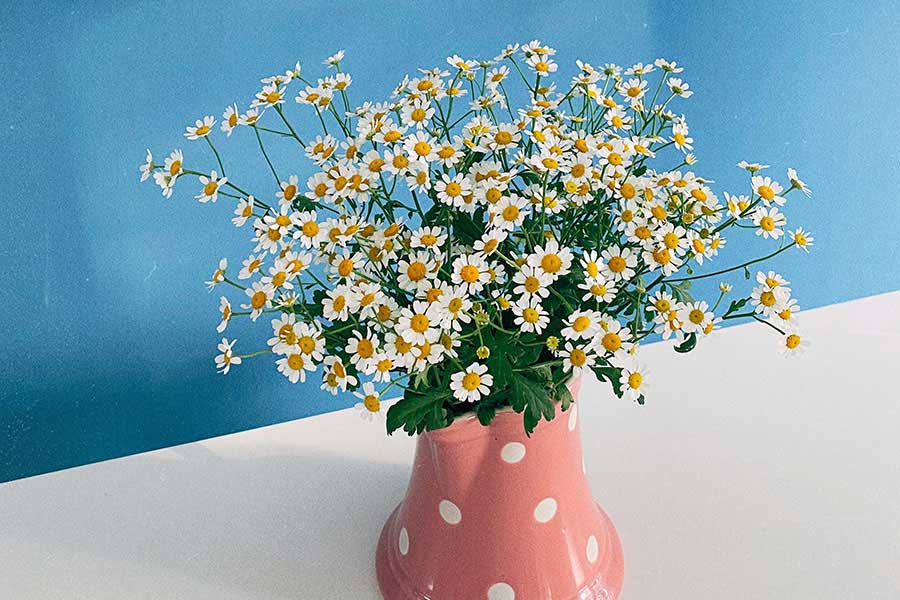 Leia mais sobre o artigo Living: Lessons Learned Along the Way