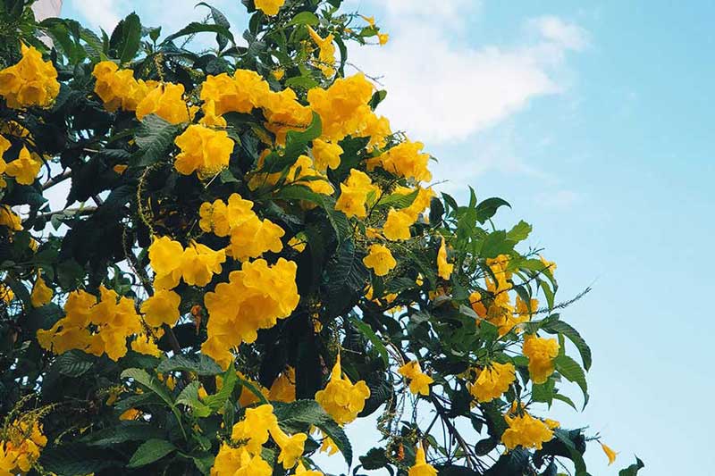 Leia mais sobre o artigo Breaking Free from Conventional Wisdom